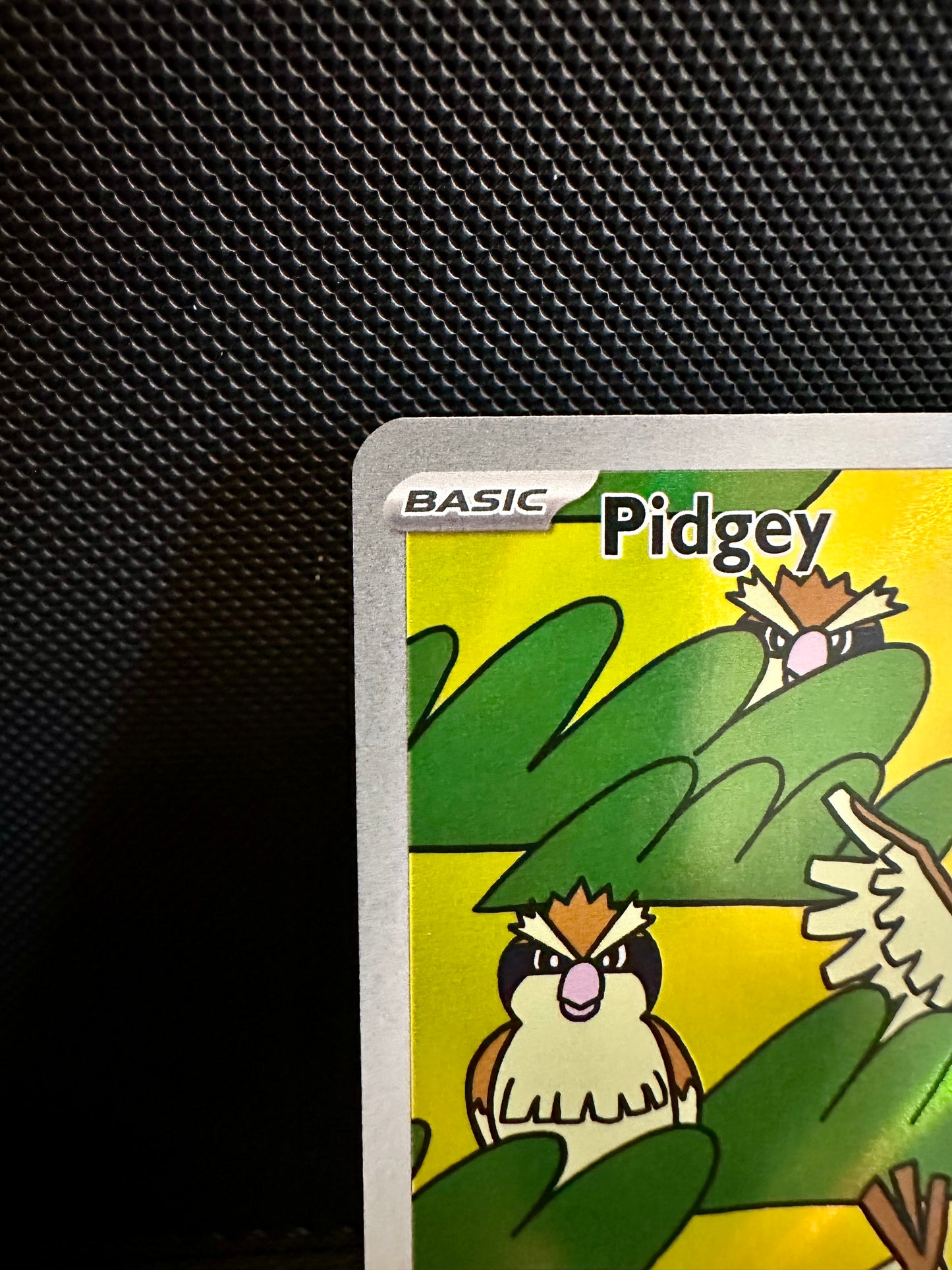 Pidgey - 207/197