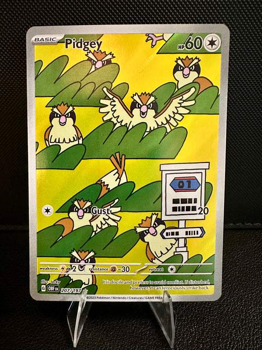 Pidgey - 207/197