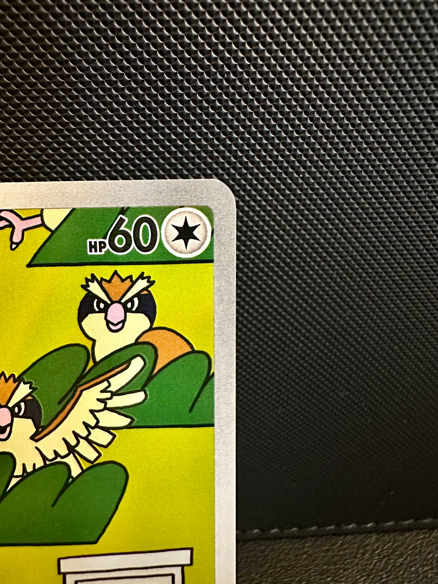 Pidgey - 207/197
