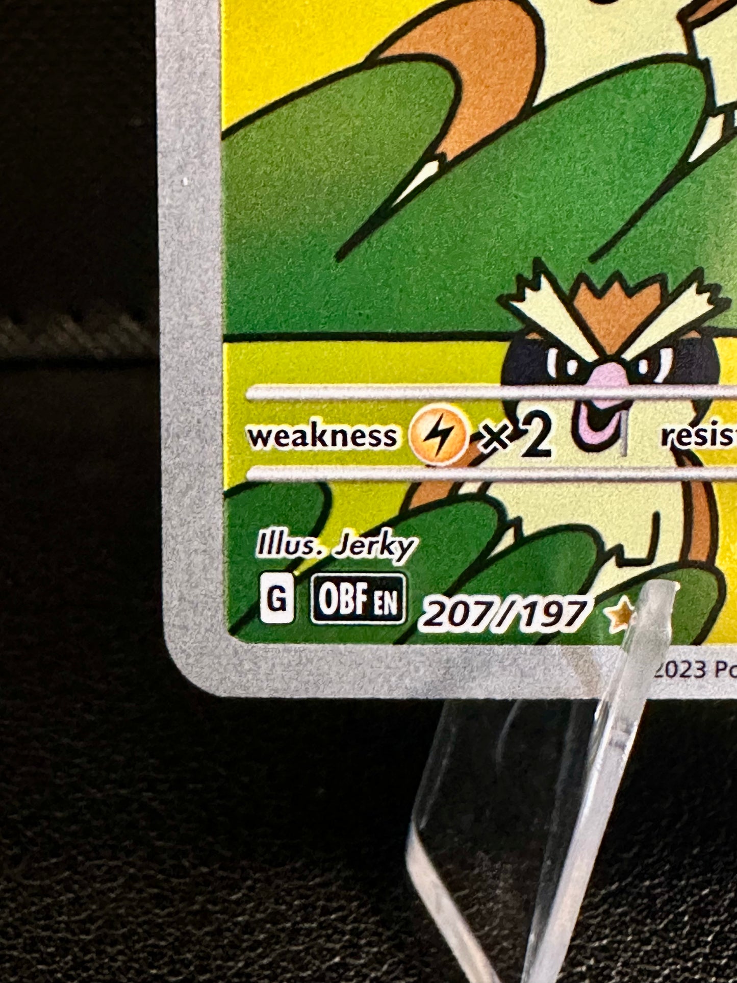 Pidgey - 207/197