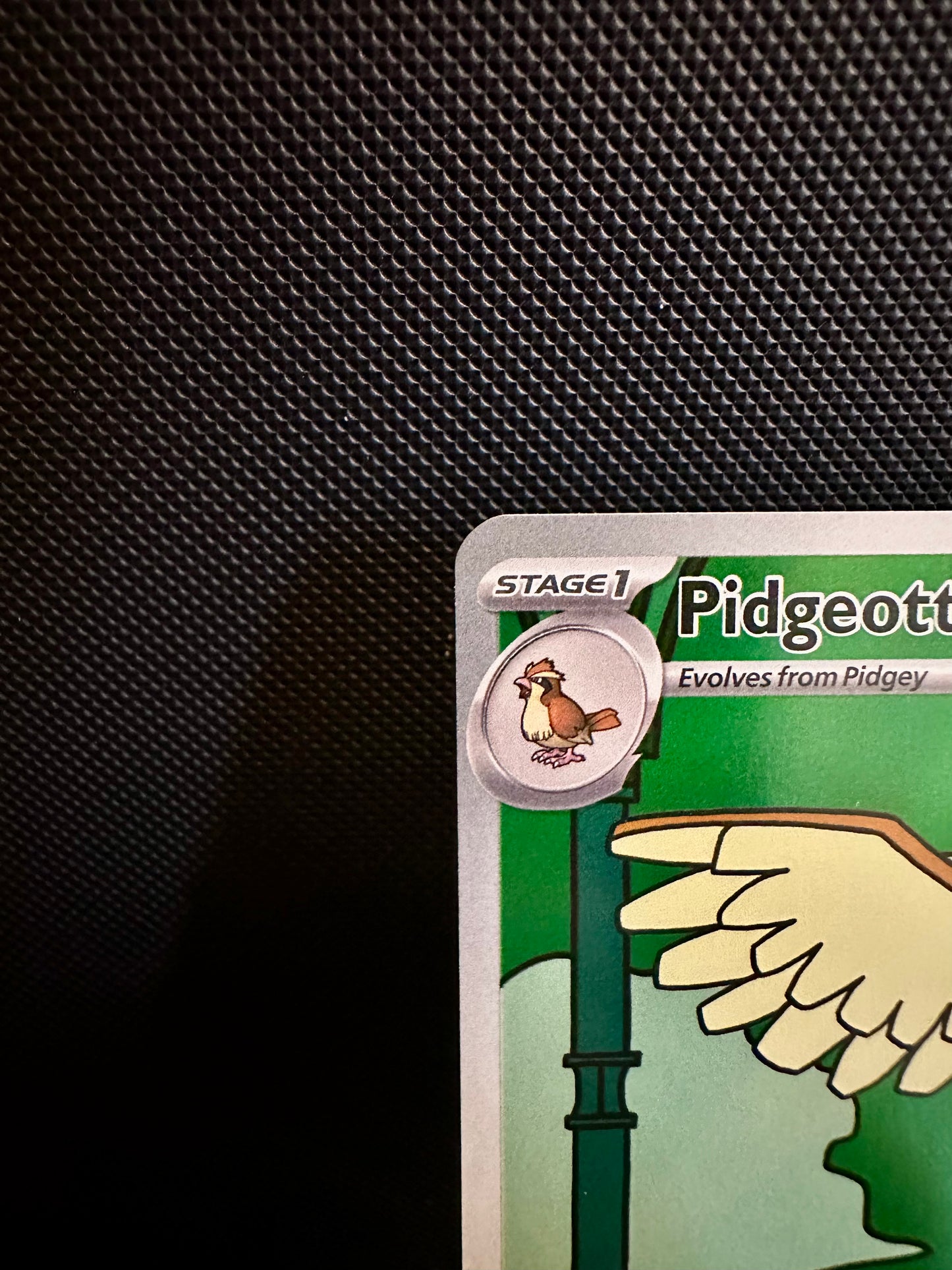 Pidgeotto - 208/197