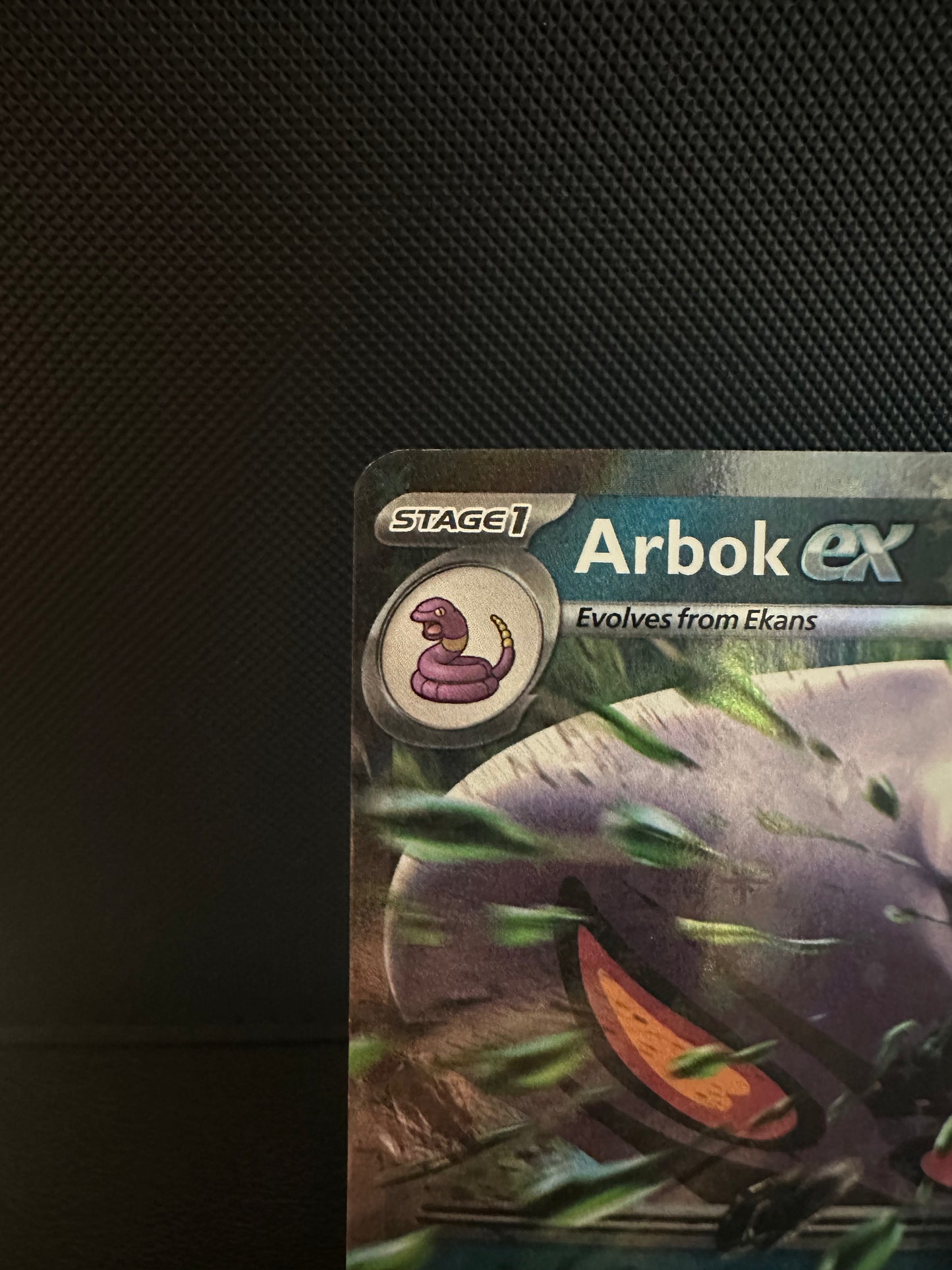Arbok ex - 24/165