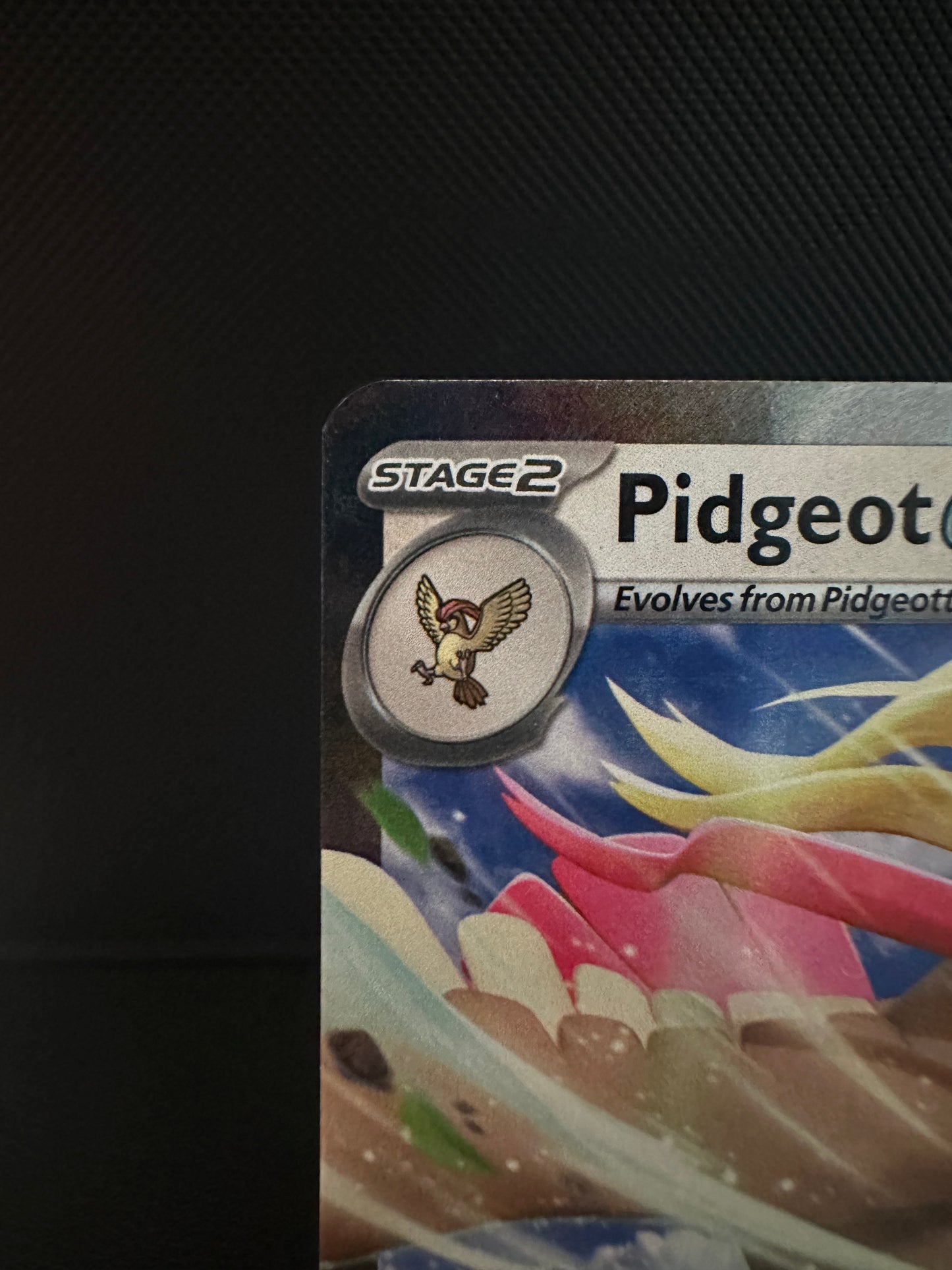 Pidgeot ex - 164/197