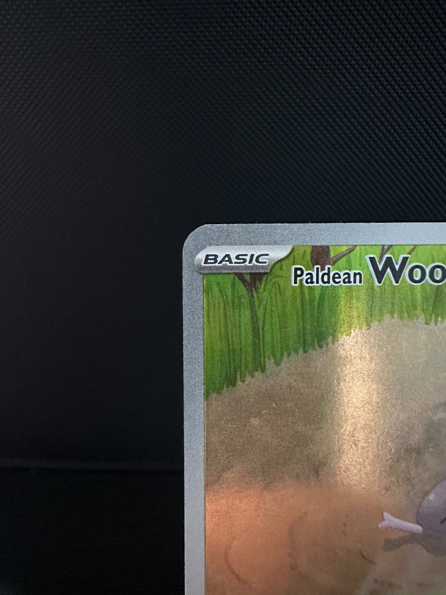 Paldean Wooper - 221/193