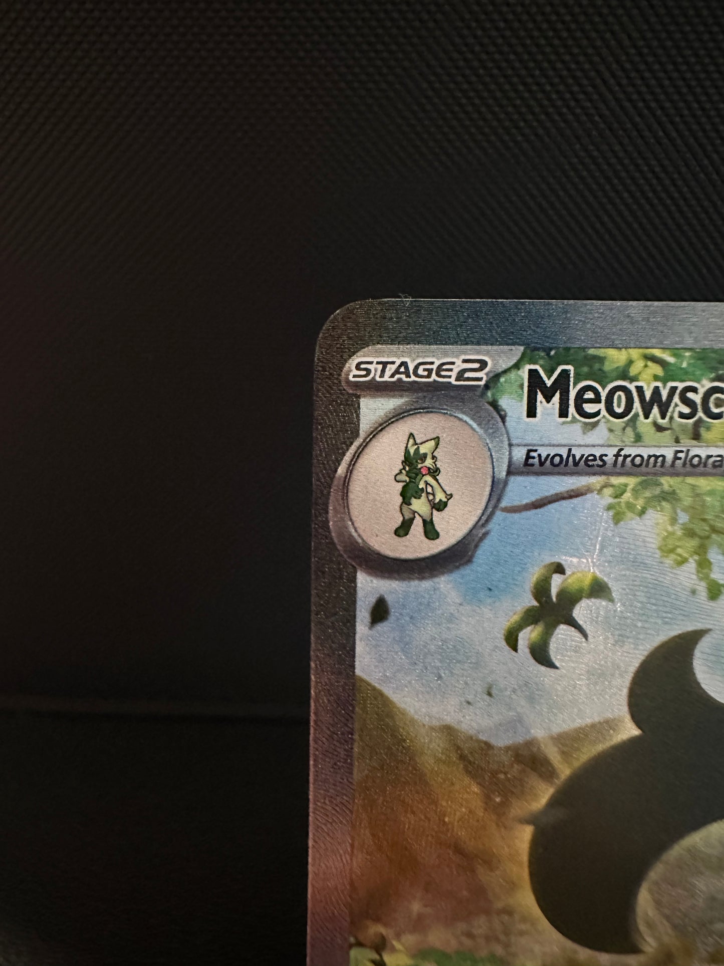 Meowscarada ex - 256/193